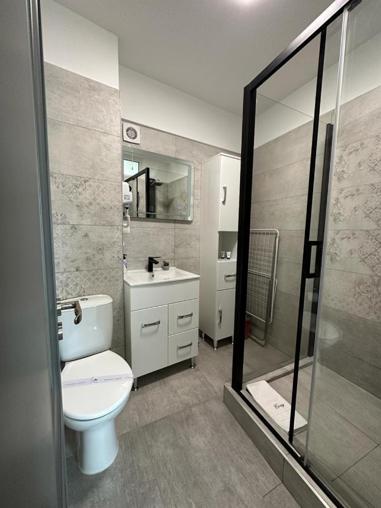 Cozy Studios In Сучеава Екстериор снимка