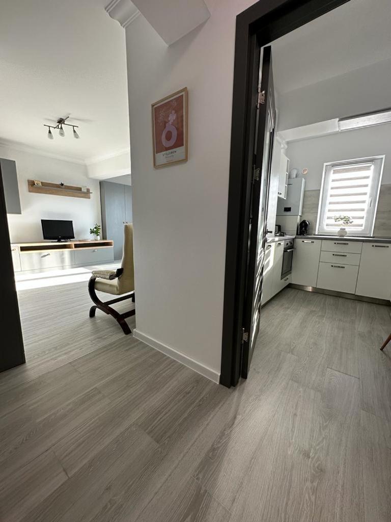 Cozy Studios In Сучеава Екстериор снимка