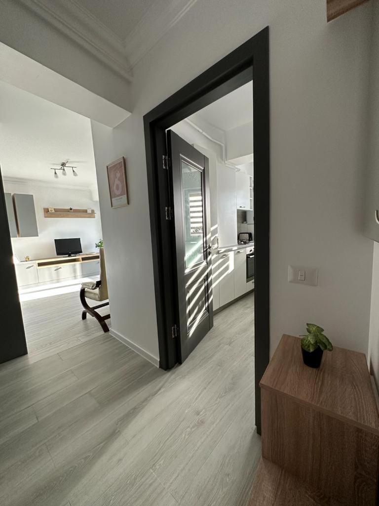 Cozy Studios In Сучеава Екстериор снимка